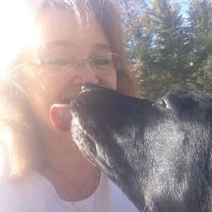 Meet your Posher, Dawn